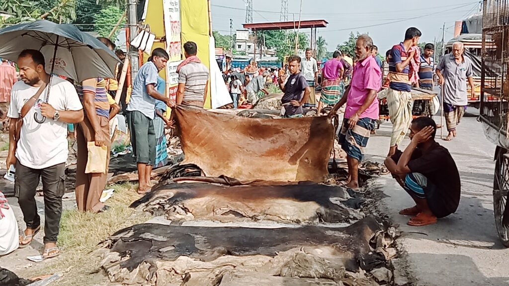 চামড়ার বাজারে ক্রেতা সংকট হতাশ ক্ষুদ্র ও মৌসুমী ব্যবসায়ীরা