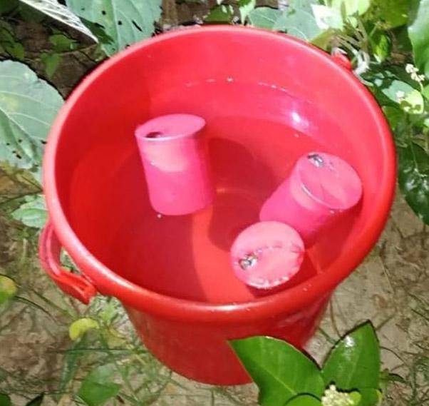 শার্শায় পরিত্যক্ত অবস্থায় তিনটি ককটেল উদ্ধার