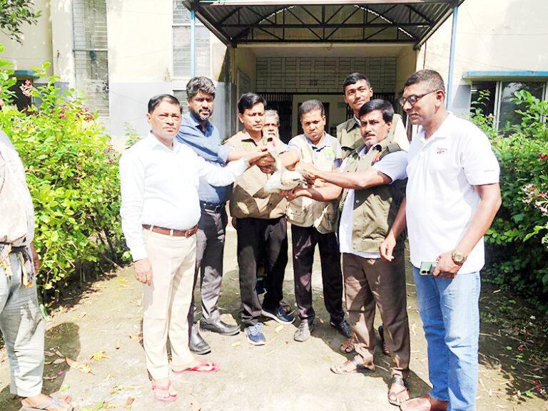 কোটচাঁদপুরে ঈগল পাখি উদ্ধার