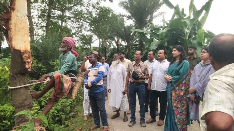 চৌগাছায় জিআই পণ্য খেজুরগুড় সংগ্রহে গাছ কাটা উদ্বোধন