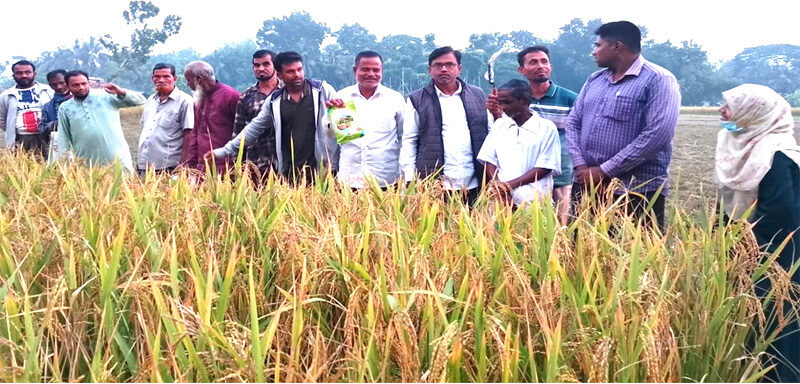 মণিরামপুরে বায়োলিডের মাঠ দিবস পালিত