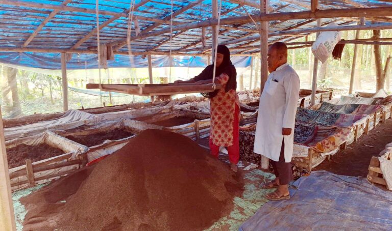 জৈব সারে বদলে যাচ্ছে তালার কৃষি