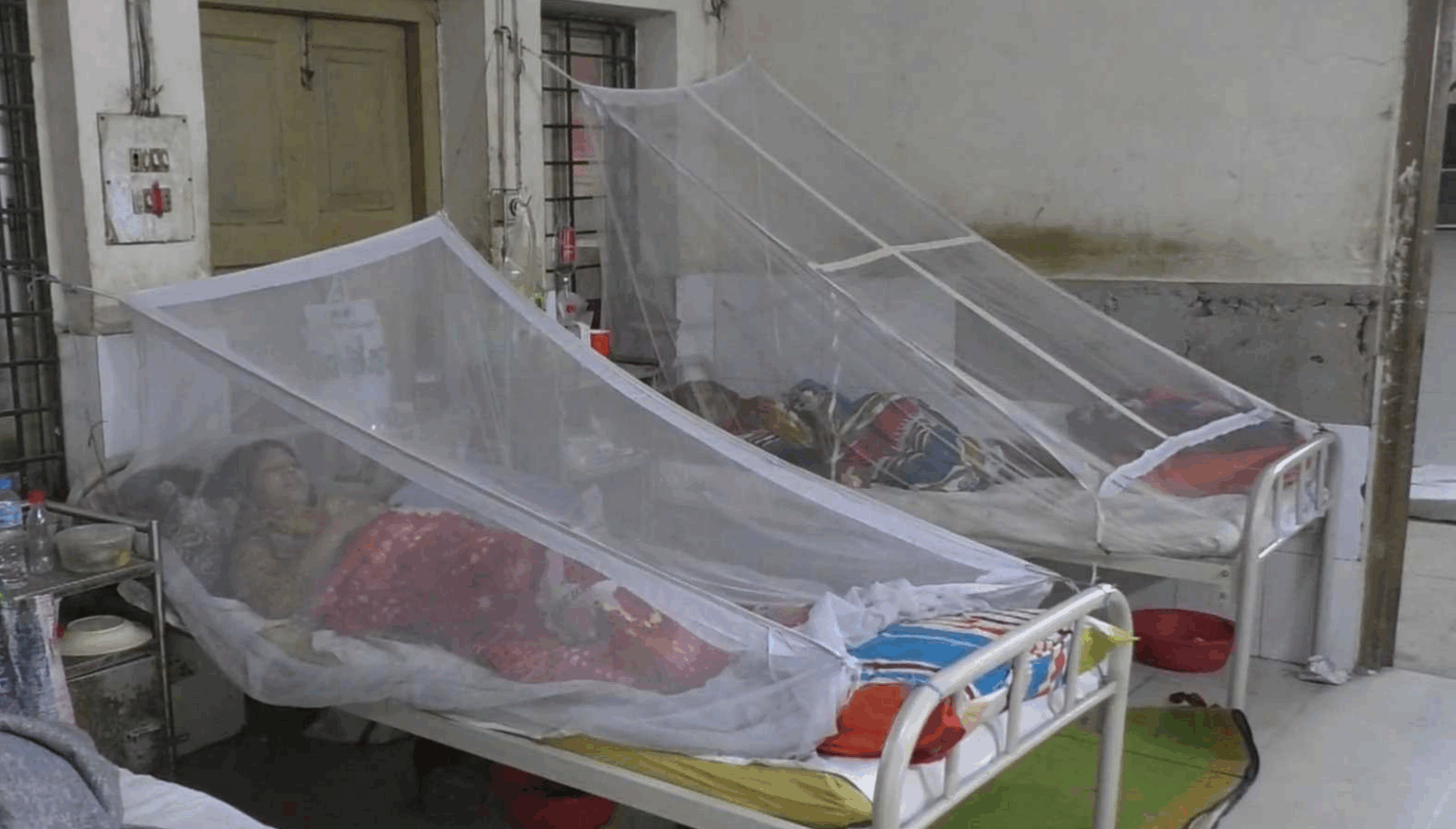 যশোরে শীতেও বাড়ছে ডেঙ্গু রোগী