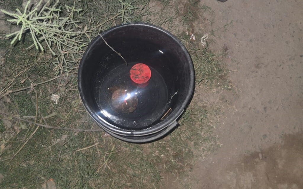 যশোরে ড্রেনের পাশ থেকে দুইটি ককটেল উদ্ধার