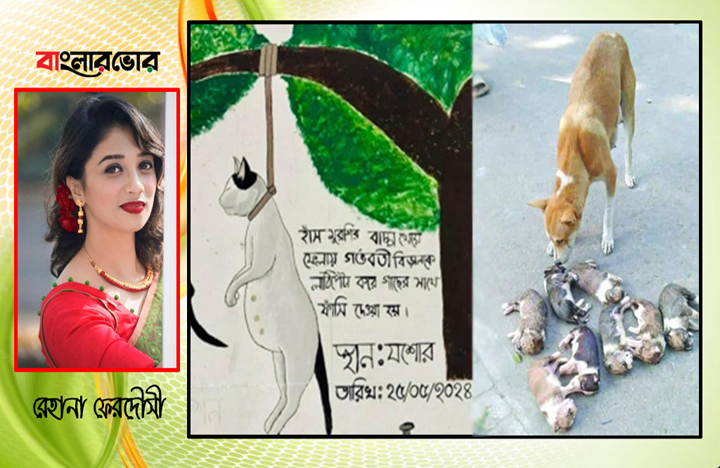 প্রাণীদের প্রতি নির্মমতা : আইন কি বলে?