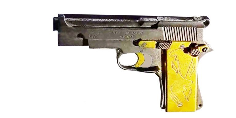 অভয়নগরে যৌথ বাহিনীর অভিযানে বিদেশি পিস্তল উদ্ধার