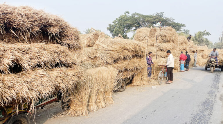ভবদহ পাড়ের চার উপজেলার গো-খাদ্যের চাহিদা পূরণ করছে কপালিয়া বাজারের বিচালির হাট