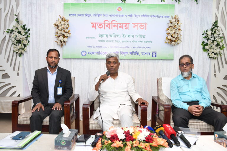 বিদ্যুৎ সেবায় ভোগান্তি কমাতে নির্দেশ প্রতিমন্ত্রী অমিতের