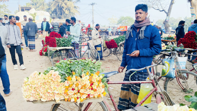 আজ ভালোবাসা দিবস : নির্বাচনের প্রভাবে গদখালীর ফুল বাজারে ধস