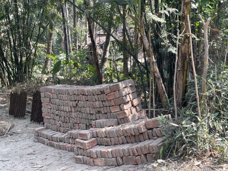 মণিরামপুরে যুব জামায়াত নেতার বিরুদ্ধে সরকারি রাস্তার ইট তুলে নেয়ার অভিযোগ