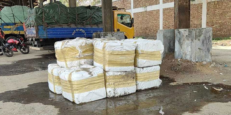 বেনাপোল বন্দরে মিথ্যা ঘোষণায় আমদানি করা রুই মাছ আটক