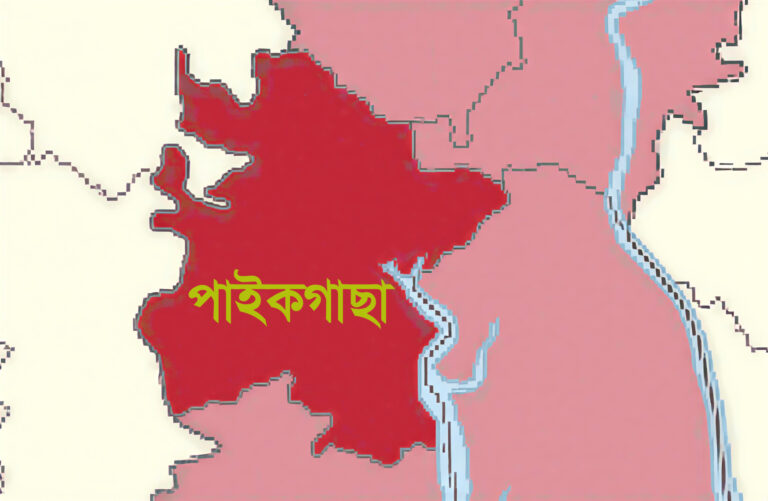 পাইকগাছায় কুপিয়ে ও গলাকেটে পুলিশ কর্মকর্তার মাকে হত্যা!
