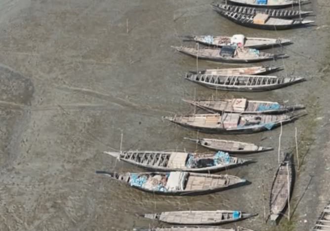 সুন্দরবনে বনদস্যুদের দৌরাত্ম্য : জীবিকা হারাচ্ছেন জেলে বাওয়ালিরা