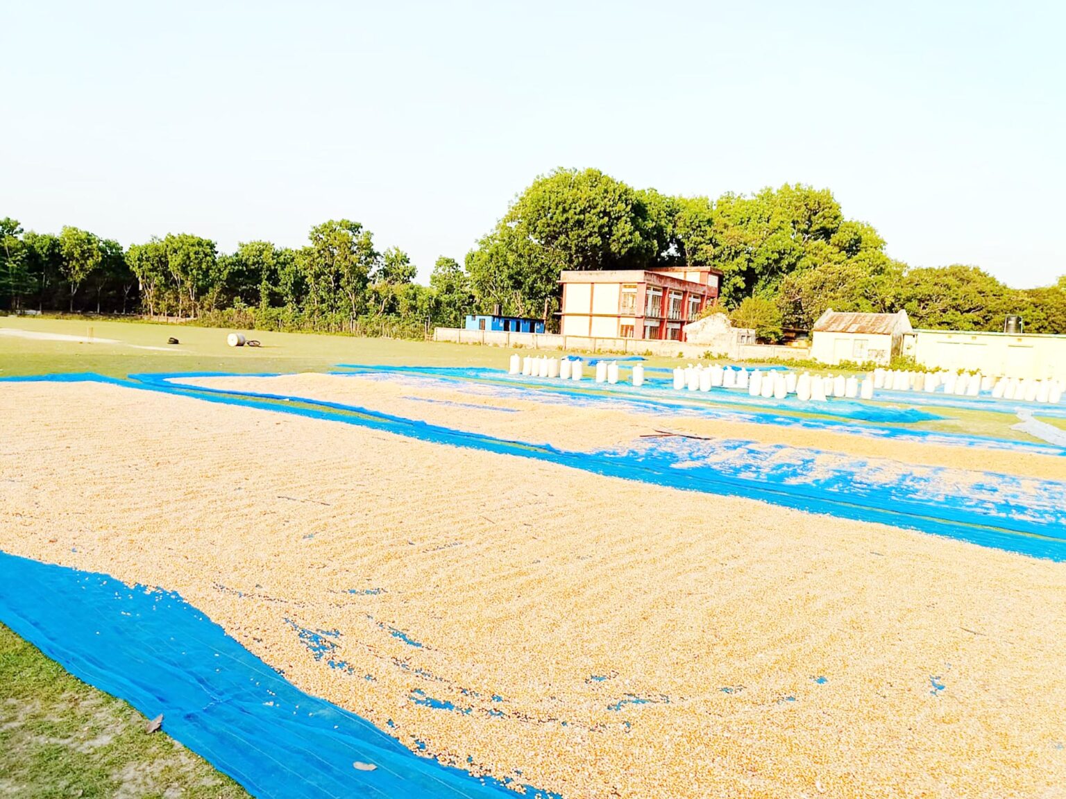 জীবননগরে চাঁদা না পেয়ে ব্যবসায়ীকে মারধর