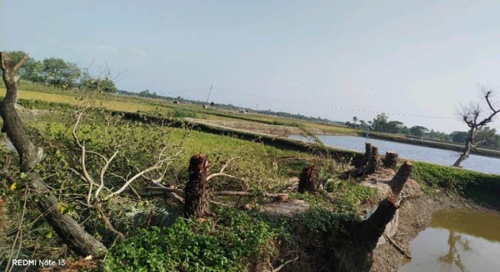 শ্যামনগরে ভোগ দখলীয় সম্পত্তি জোরপূর্বক দখল চেষ্টার অভিযোগ