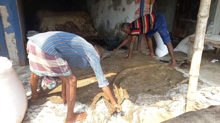লবণের দাম বাড়লেও কমছে চামড়ার দাম