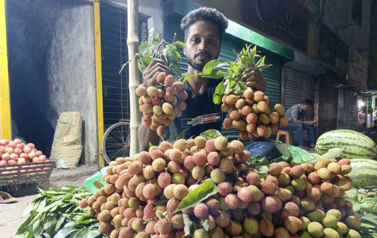 যশোরের বাজারে লিচু, দাম শ’প্রতি ৩০০ টাকা