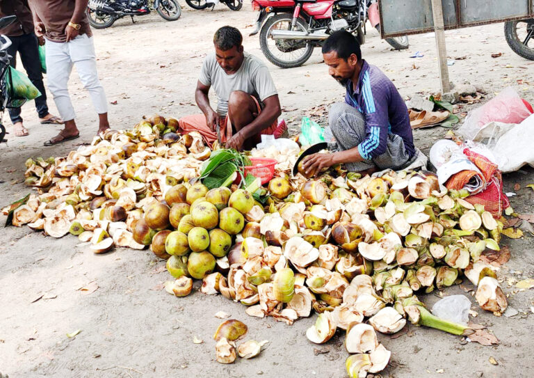 জীবননগরে গরমে স্বস্তি দিচ্ছে তালের শাস, বেড়েছে চাহিদা জীবননগরে গরমে স্বস্তি দিচ্ছে তালের শাস, বেড়েছে চাহিদা