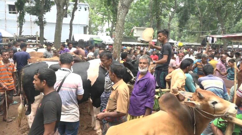 কোরবানির হাট : যশোরে ফড়িয়া সিণ্ডিকেটে বাড়তি দাম কোরবানির হাট : যশোরে ফড়িয়া সিণ্ডিকেটে বাড়তি দাম