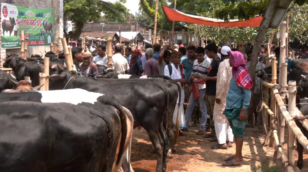 কোরবানির হাট : যশোরে ফড়িয়া সিণ্ডিকেটে বাড়তি দাম কোরবানির হাট : যশোরে ফড়িয়া সিণ্ডিকেটে বাড়তি দাম