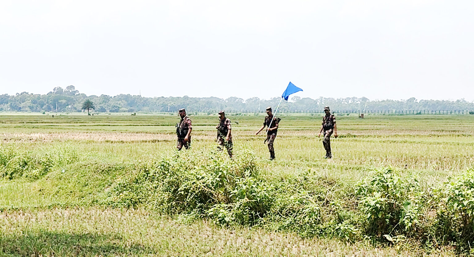 বেনাপোল সীমান্ত দিয়ে পুশইন চেষ্টা বিএসএফের, বিজিবির প্রতিরোধ