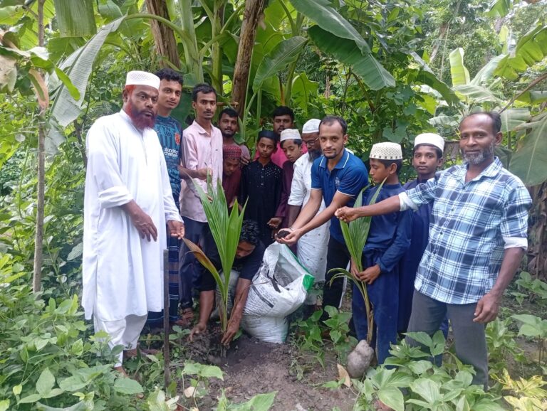 মণিরামপুর মাদানীয়া নূরানী মাদ্রাসায় বৃক্ষরোপণ