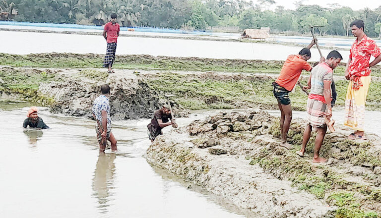 রামপালে প্রতিমন্ত্রীর নির্দেশে খালের বাঁধ অপসারণ