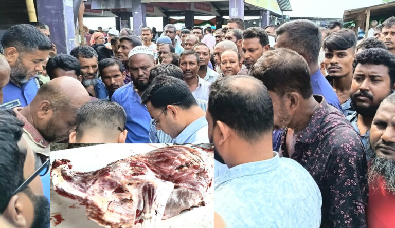 পচা মাংস বিক্রি : বাগেরহাটে দুই বিক্রেতাকে কারাদণ্ড