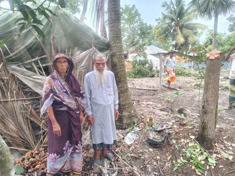 শ্যামনগরে বৃদ্ধ চাচা-চাচীকে পিটিয়ে গাছ কেটে নিল ভাতিজা