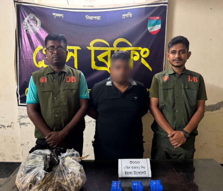 যশোরে শুঁটকি মাছের প্যাকেটে ৩ হাজার পিস ইয়াবা