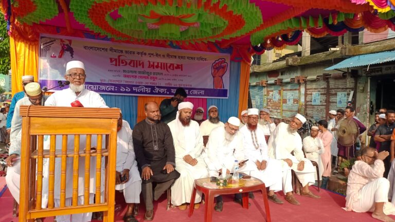 সীমান্ত হত্যা ও পুশ-ইনের প্রতিবাদে বেনাপোলে ১১ দলীয় জোটের বিক্ষোভ