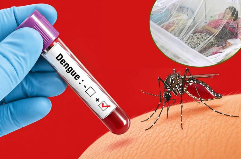 ২৪ ঘণ্টায় যশোরে ডেঙ্গু আক্রান্ত ৭ জন