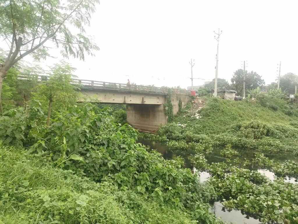২৭৯ কোটি টাকার প্রকল্পে কচুরিপানা-মেডিকেল বর্জ্য!