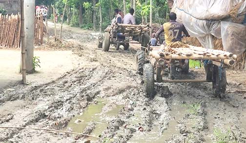 নড়াইলে ৬০ শতাংশ গ্রামীণ সড়কই কাঁচা নড়াইলে ৬০ শতাংশ গ্রামীণ সড়কই কাঁচা