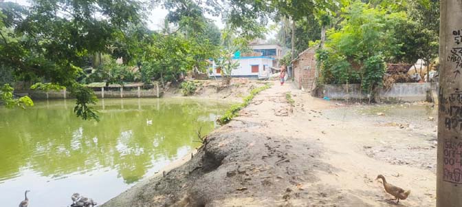 শার্শায় দেড় হাজার মানুষের চলাচলের একমাত্র রাস্তা পুকুরগর্ভে! শার্শায় দেড় হাজার মানুষের চলাচলের একমাত্র রাস্তা পুকুরগর্ভে!
