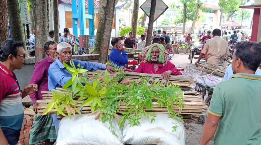 মাগুরায় শিক্ষার্থী ও কৃষকদের মাঝে গাছের চারা বিতরণ