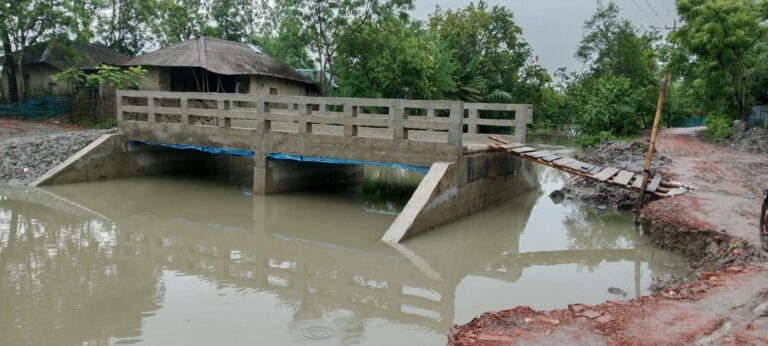 সেতু আছে সড়ক নেই,মই বেয়ে খাল পার হচ্ছে ৫ গ্রামের মানুষ